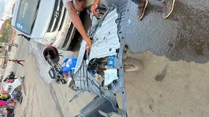 Honda Accord 2020 Engine Shield