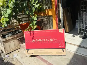Original Television Smart Lg Satellite 43”LM63
