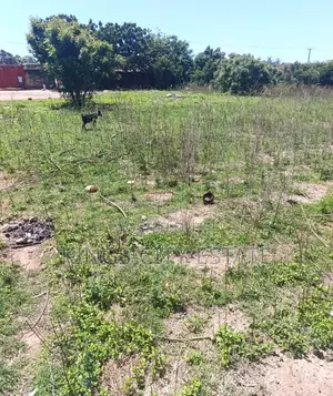 4.17 Acres of Commercial Land for Sale at Tema Motorway