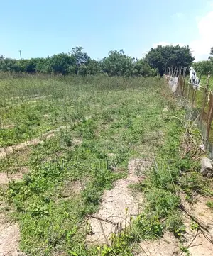 4.17 Acres of Commercial Land for Sale at Tema Motorway