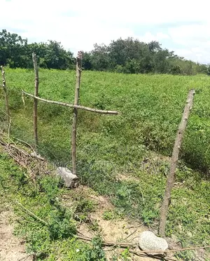 4.17 Acres of Commercial Land for Sale at Tema Motorway