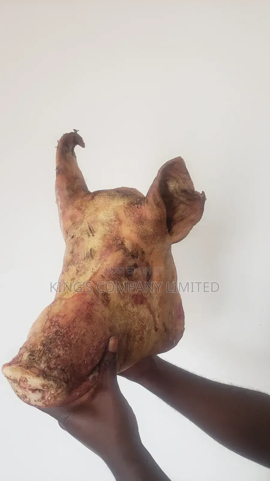 Pork and Pig Available