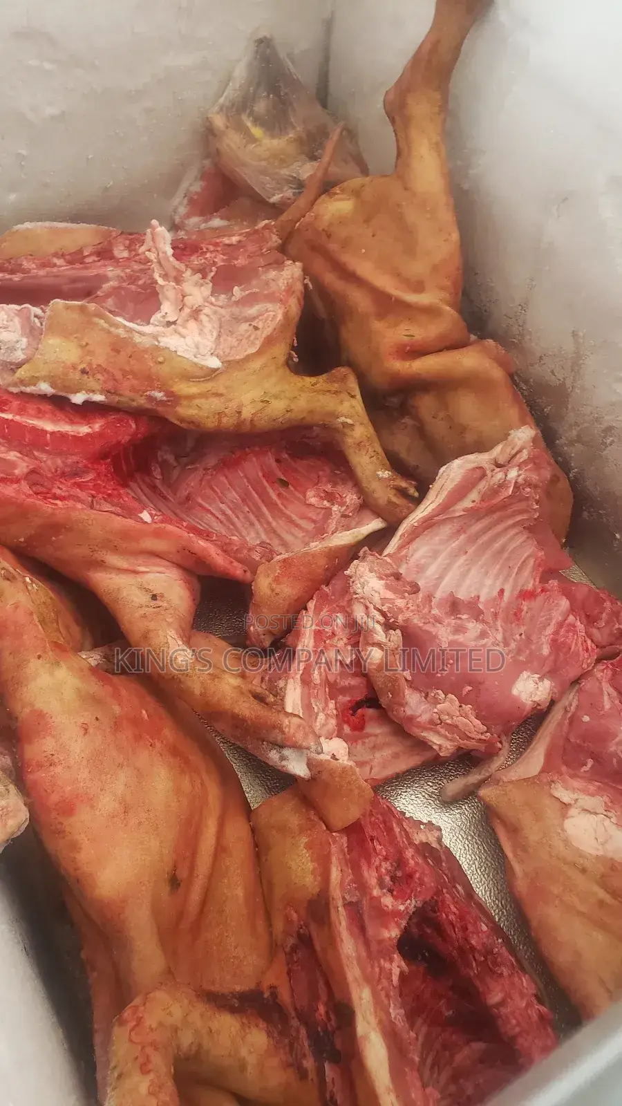 Pork and Pig Available