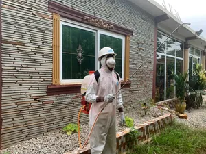Get Rid of All Pest From Homes and Office Today