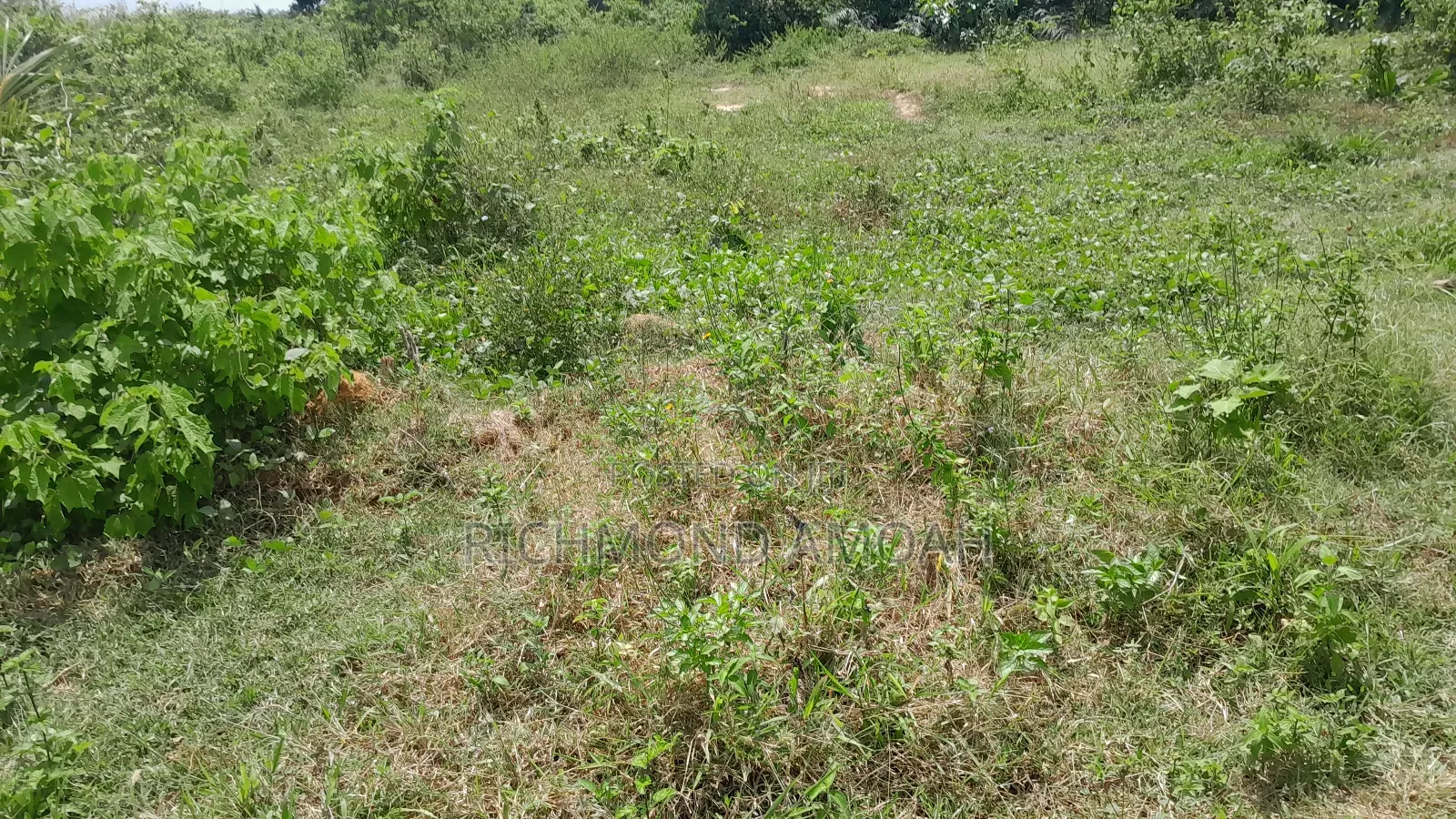 Half Plot for Sale at Kansa City
