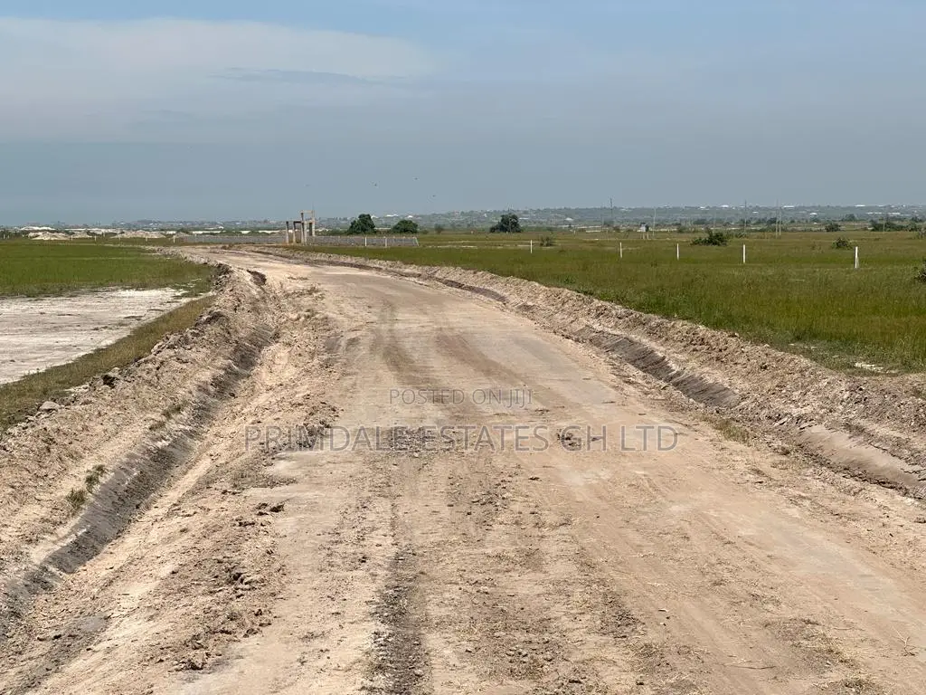 Affordable Tsopoli Half Plots