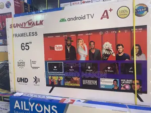 Sunny Walk 65” Tv