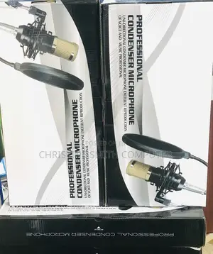 Professional Condenser Microphone