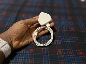 Genuine iPhone Charger (Lightning Connector)