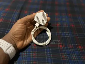 Genuine iPhone Charger (Lightning Connector)