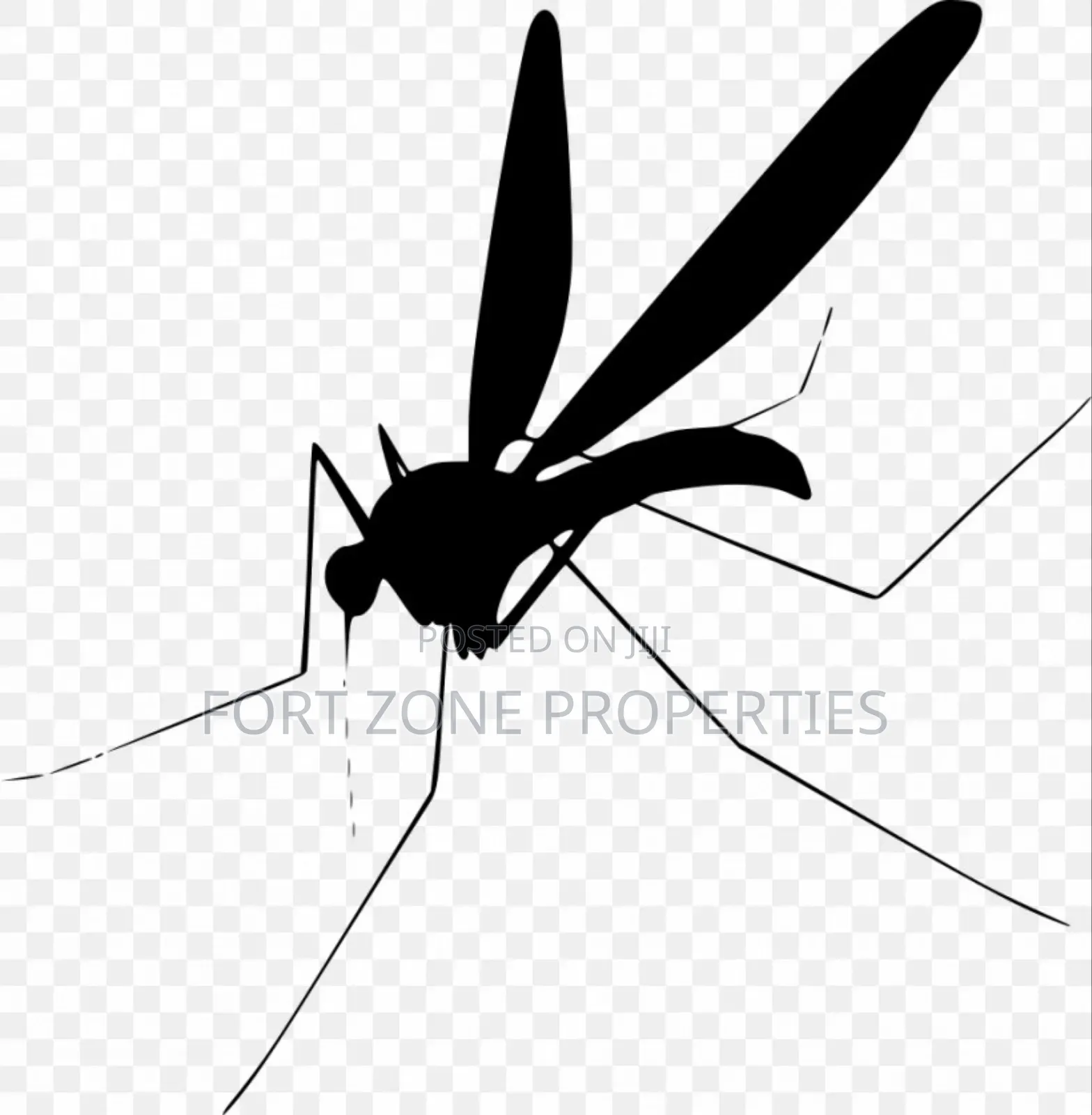 Mosquitoes,Bedbugs,Cockroaches Fumigation