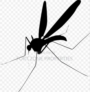 Mosquitoes,Bedbugs,Cockroaches Fumigation