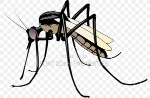Mosquitoes,Bedbugs,Cockroaches Fumigation