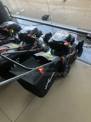 Authentic Leo Mower LM46-L 4HP