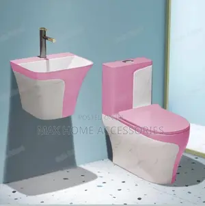 Pink Water Closet And Basin