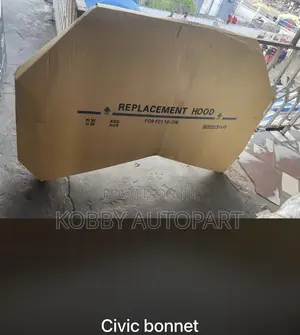 Civic Bonnet Hood 2016 2017 2018 2019 2020 2021