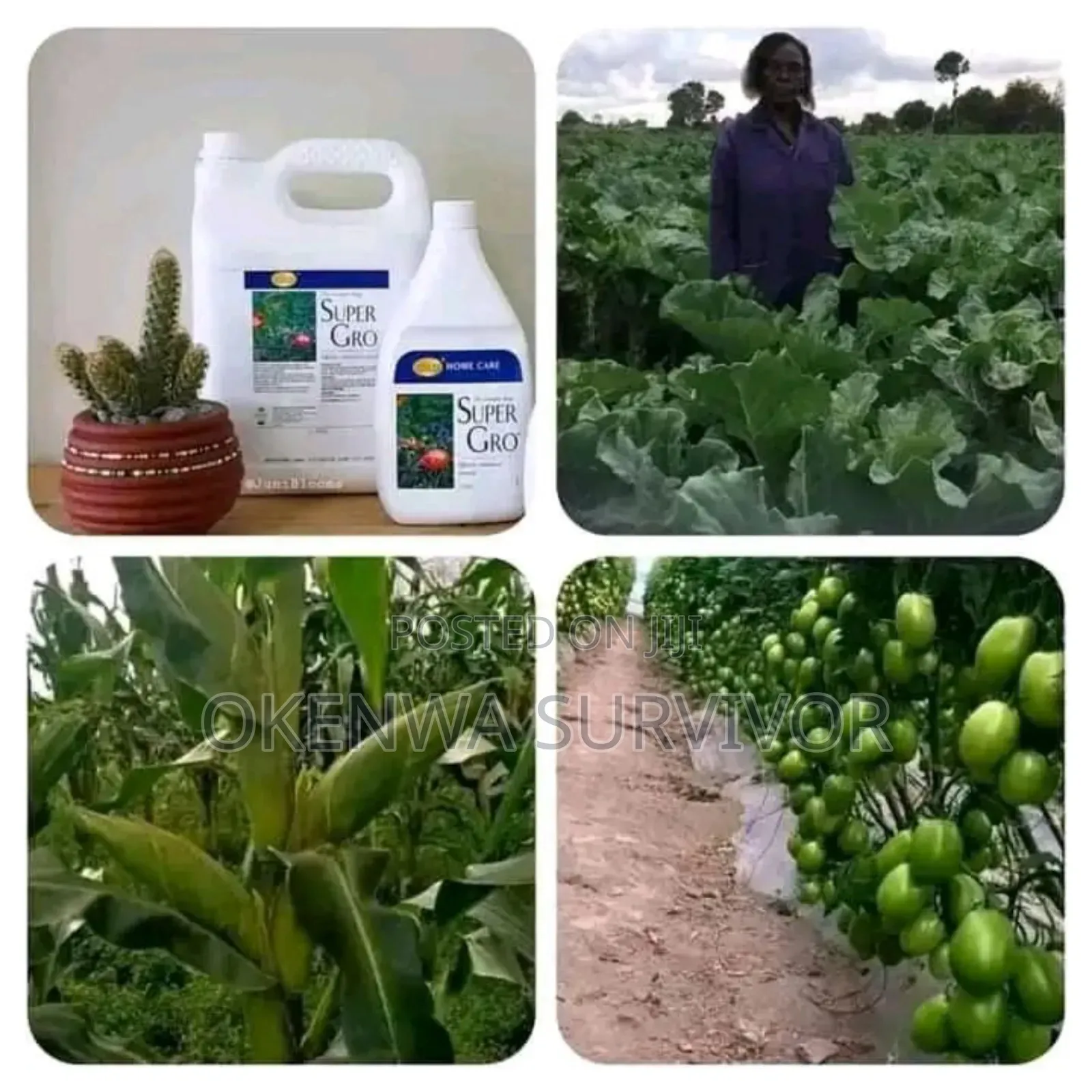 Plants and Animals Liquid Fertilizer Super Gro