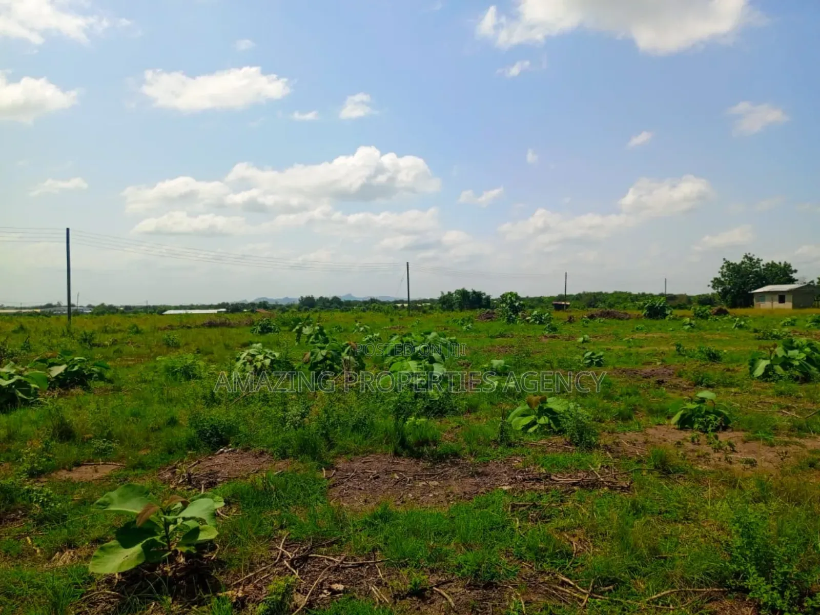 200 Acres of Riverfront Land at Atimpoku Juapong