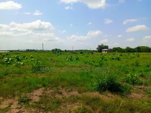 200 Acres of Riverfront Land at Atimpoku Juapong