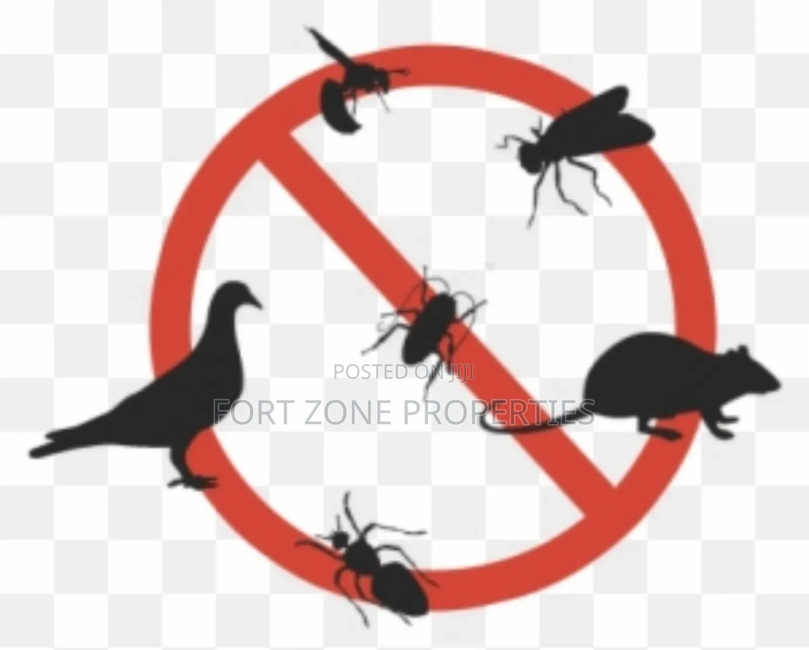 Insects Away From Your Home Now!