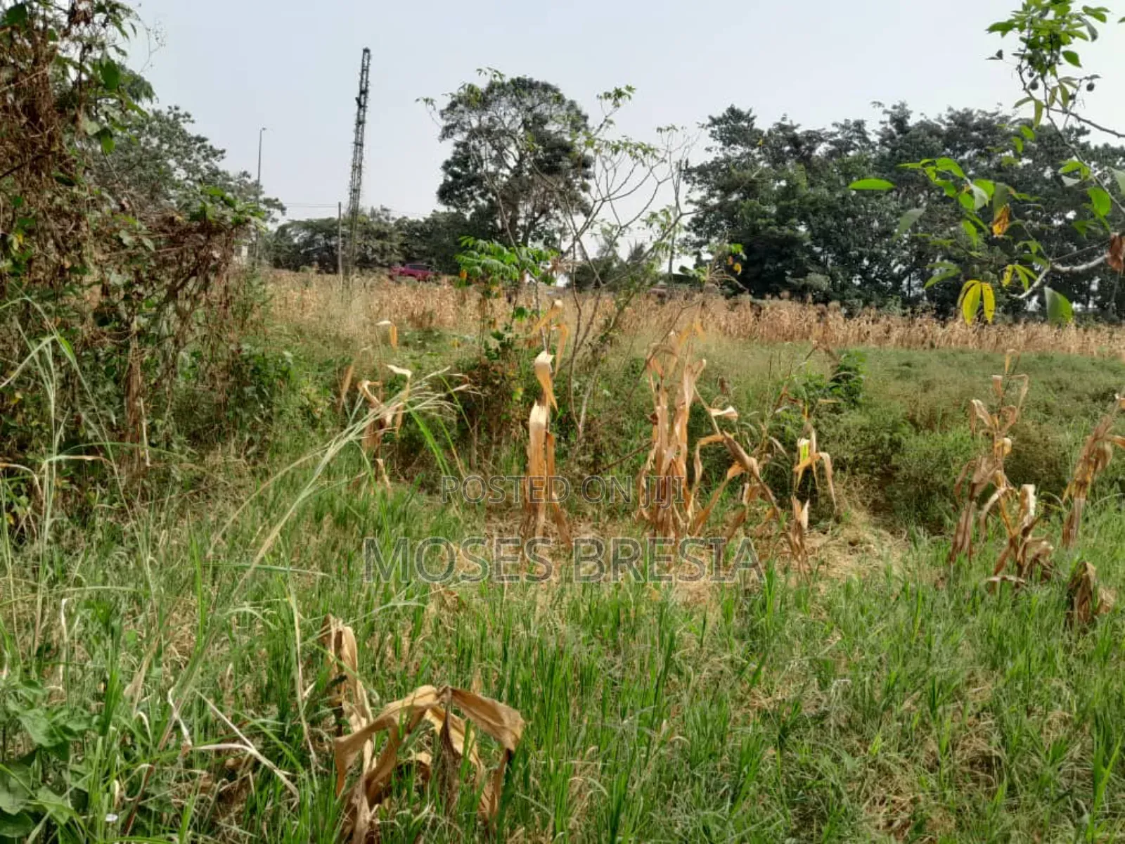 Plot of Land Close to Water and Light