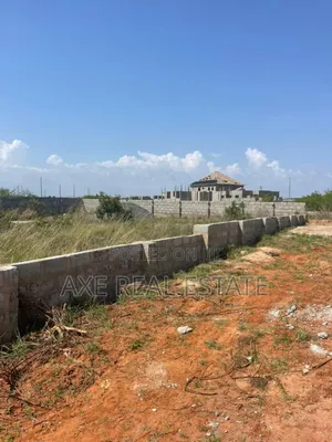 Modern Measurements on Plots at TEMA COMMUNITY 25