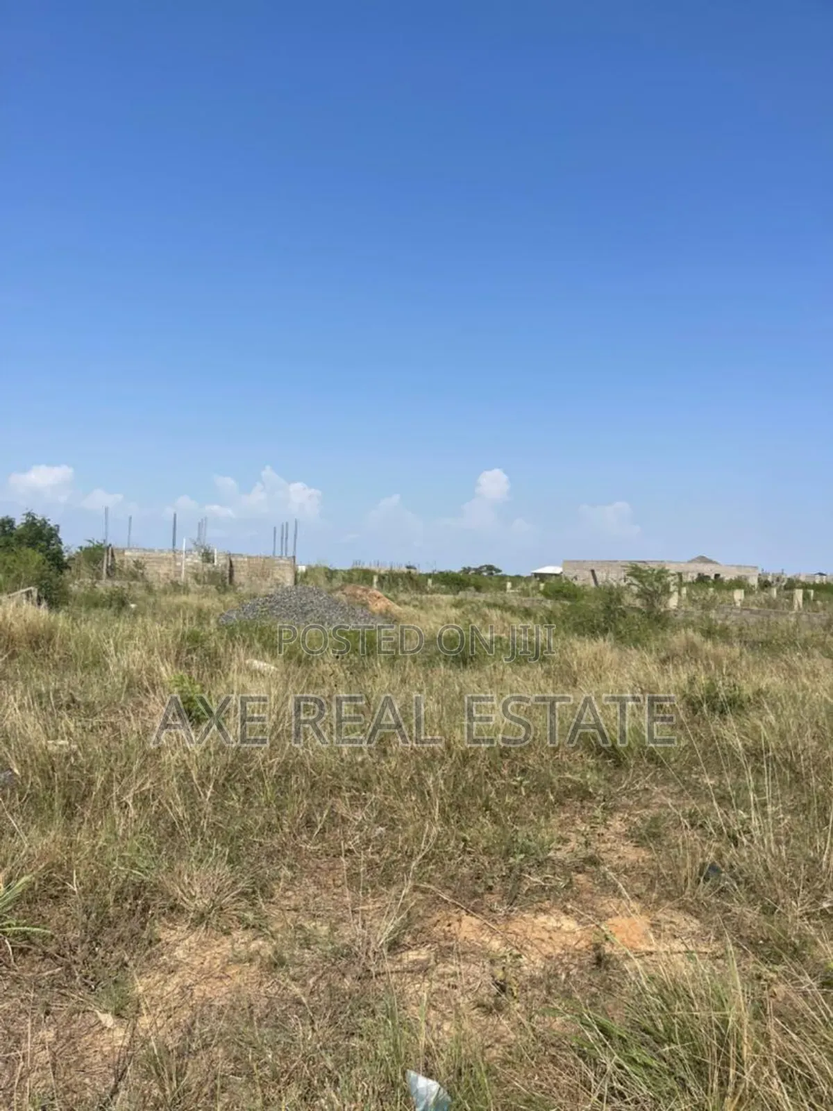 Modern Measurements on Plots at TEMA COMMUNITY 25