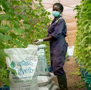 Asase Gyefo Compost