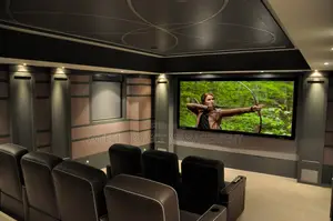 Executive Home Cinema
