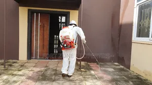 Clean All Cockroaches and Termites Now