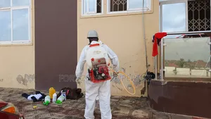Clean All Cockroaches and Termites Now