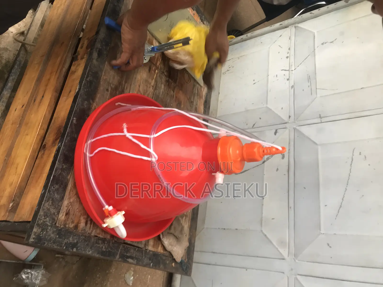 Bell Drinkers
