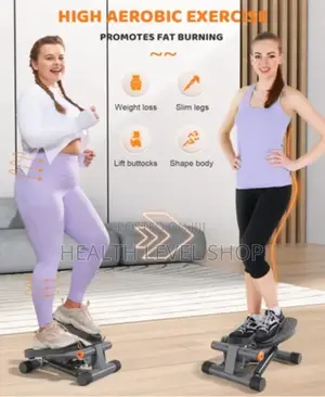 Wellcare Mini Stepper Exercise Machine