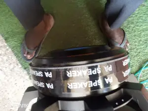 JLD Double Magnet Naked Speaker '21' Inches