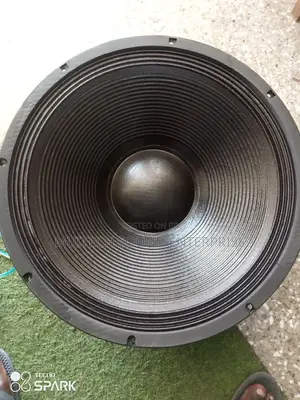 JLD Double Magnet Naked Speaker '21' Inches