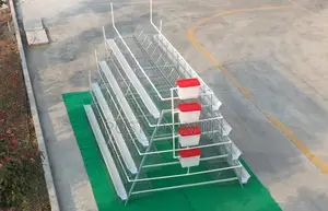 A-type Layers Chicken Cage System