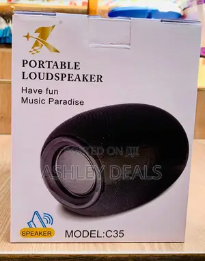 Portable Loudspeaker