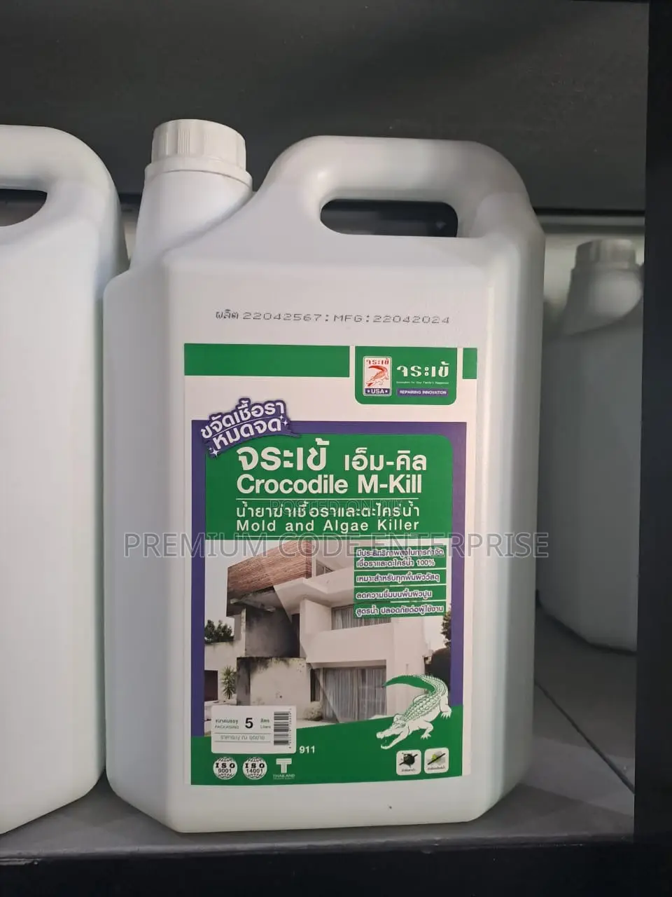Mold Killing Treatment