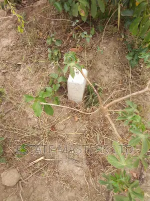Good Access Area Land