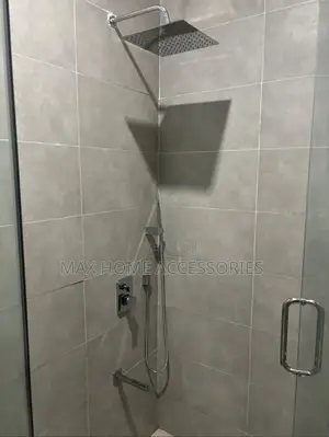 Silver Concealed Shower