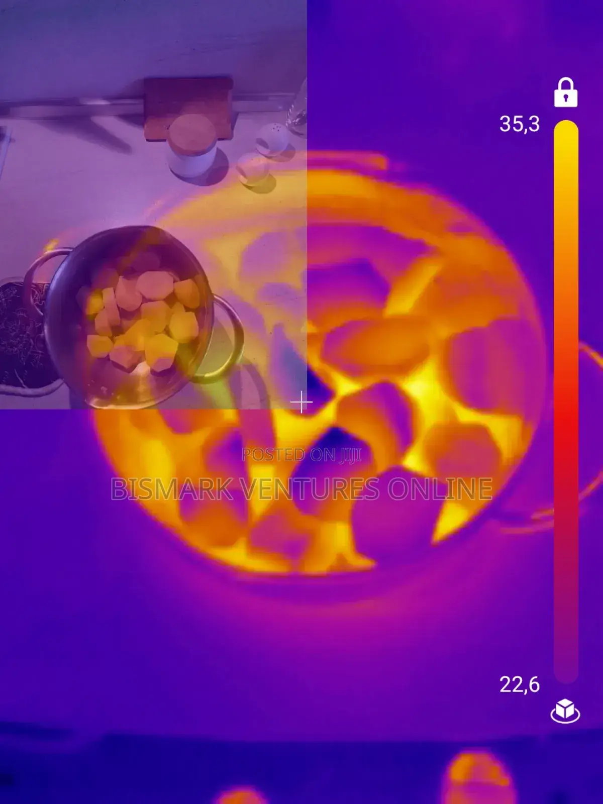 Tr-256i*192 Thermal Imaging Camera For Android, 256x192