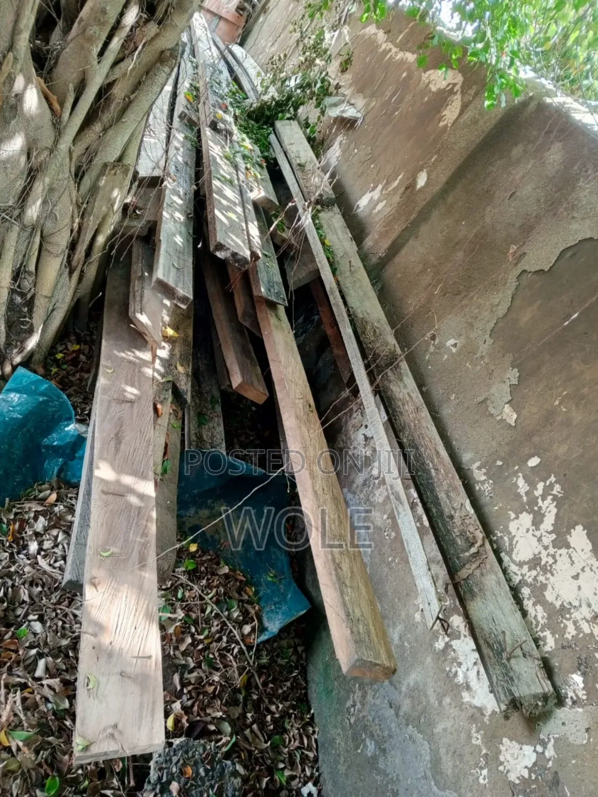 Good Quality Used Construction Wood Bamboo