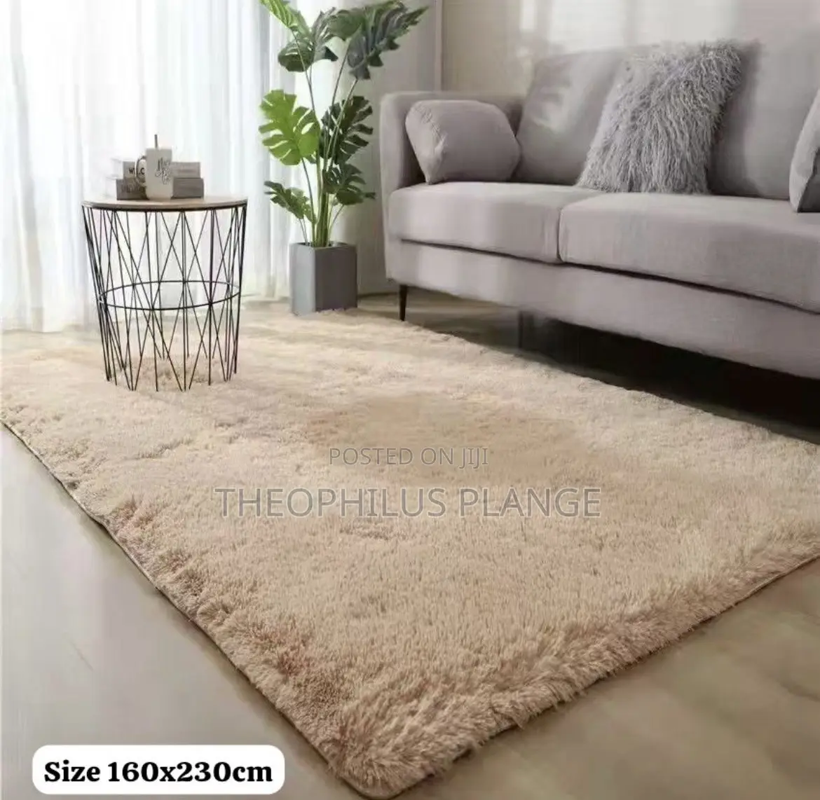 Big Size Fluffy Fur Carpet 120x230. Living Room Carpet