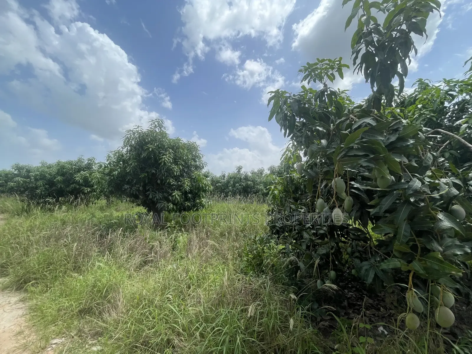 5 Acres of a Titled Land Up for Sale