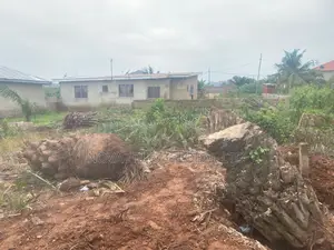 Professional Building & Construction Services