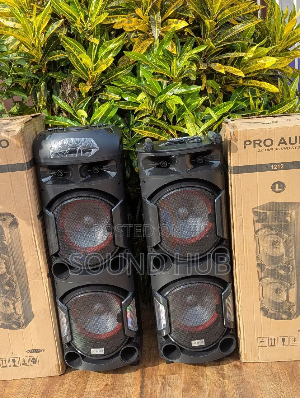 Pro Audio Dual Professional Rechargeable System With 2 Mics