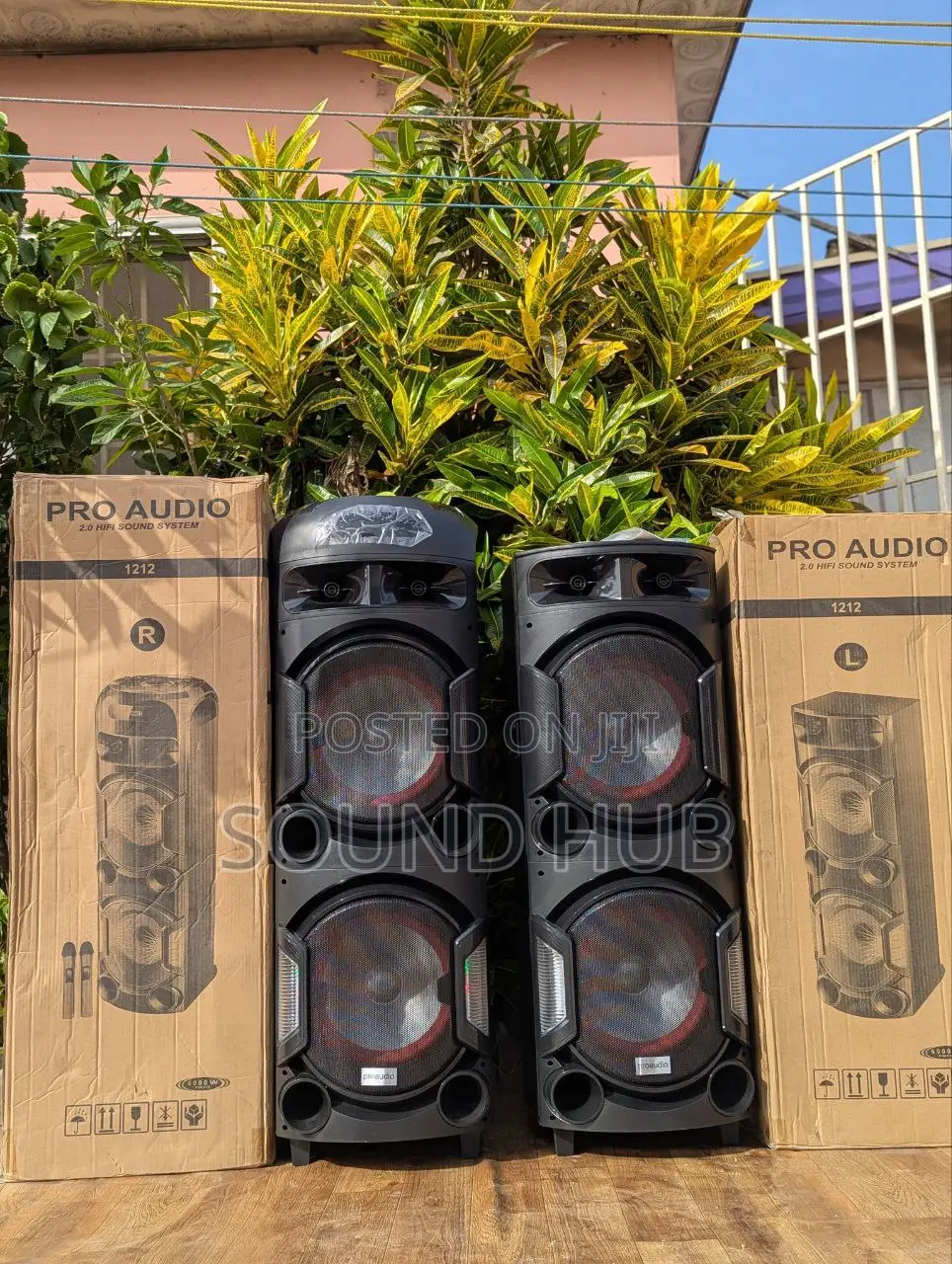 Pro Audio Dual Professional Rechargeable System With 2 Mics