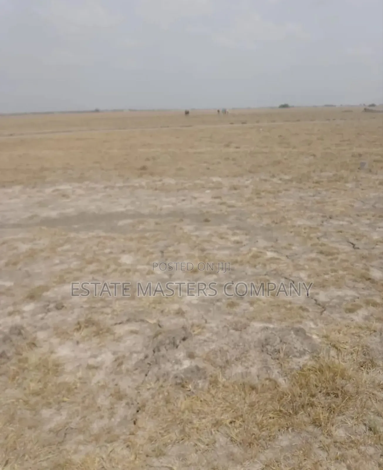 Get in Touch for Your Bewildering Land From Us