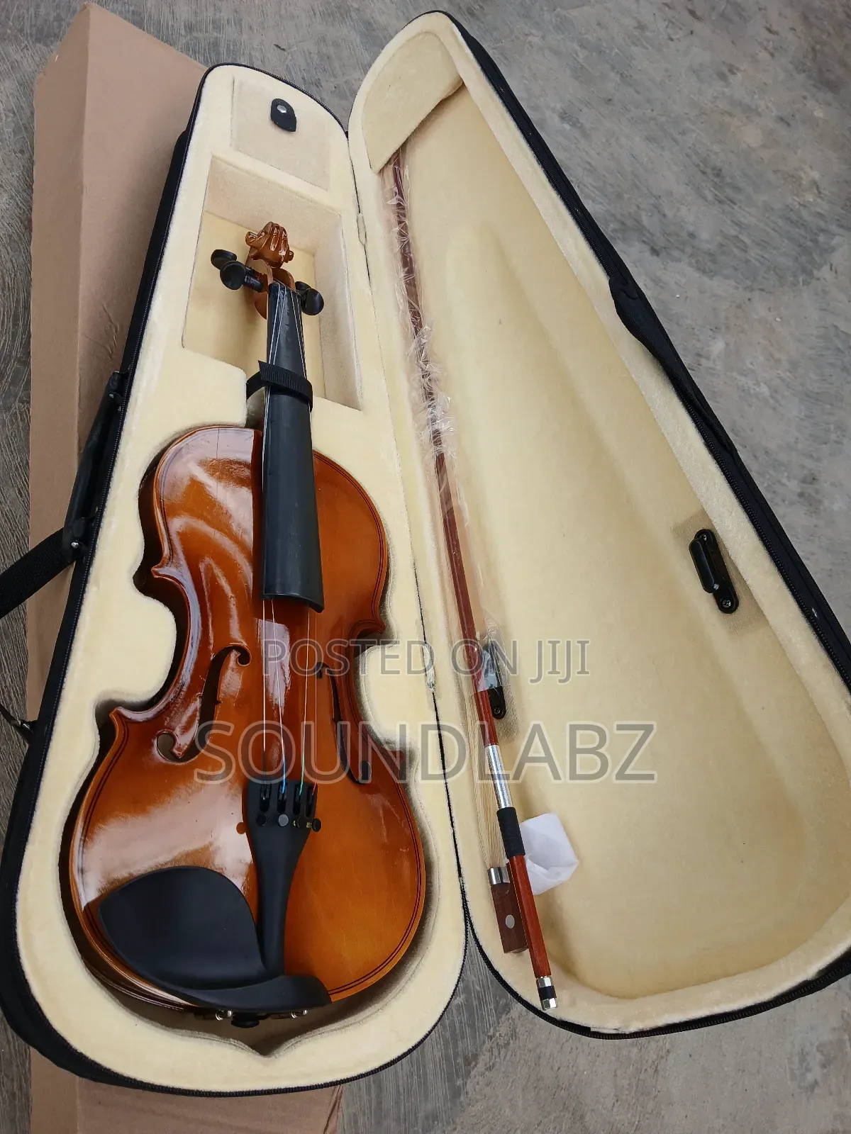 Professional Violin