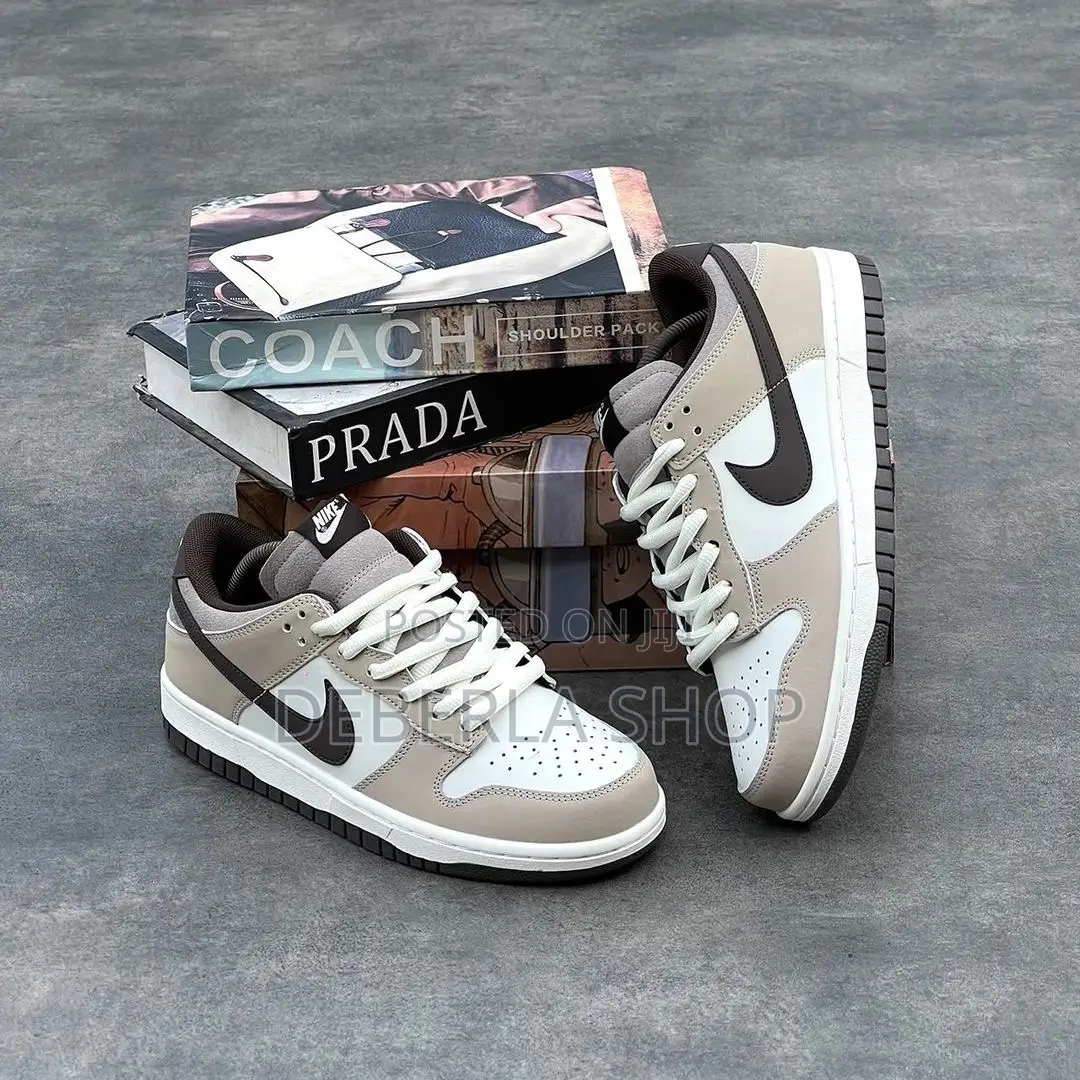 NIKE Sb Low Dunk Shoe